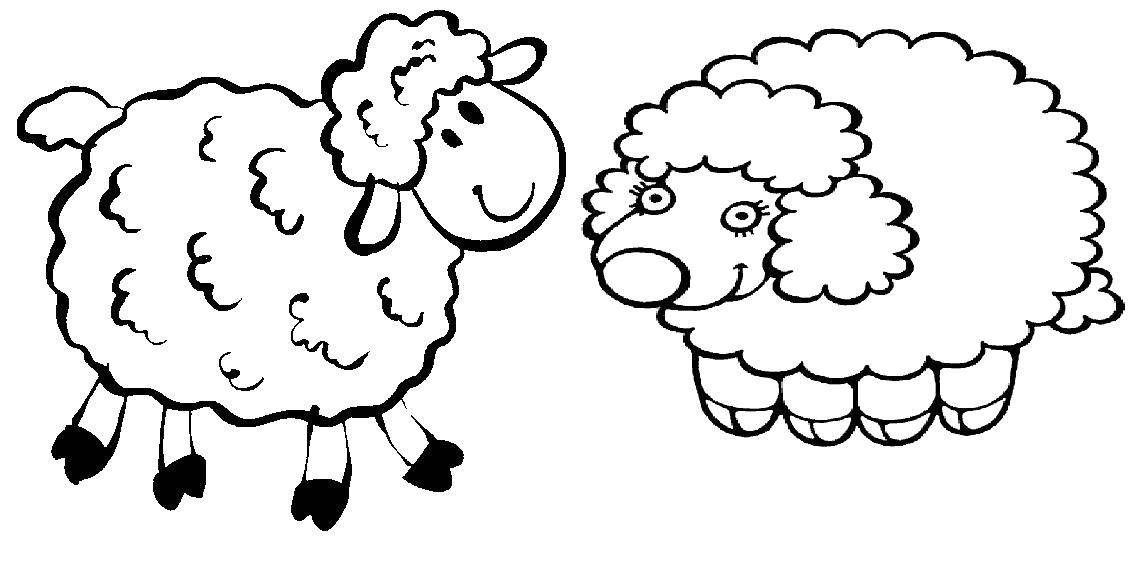 Анекдот: Про овец